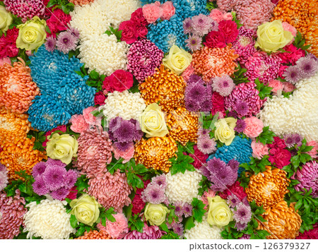 排列花卉背景 排列花卉背景 126379327
