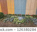 flowers in the garden 126380284