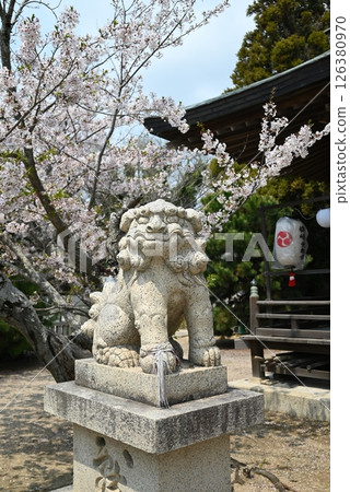 Ako Misaki 的海景 Ako Misaki 的海景 126380970