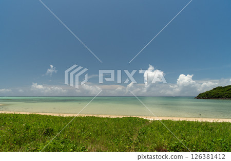 A shallow emerald green sea with a clear horizon, white sand and green vegetation in good weather 126381412