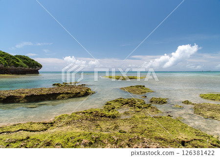 在陽光明媚的日子裡，清晰的地平線、淺淺的翠綠色海水和崎嶇的岩石海岸 126381422
