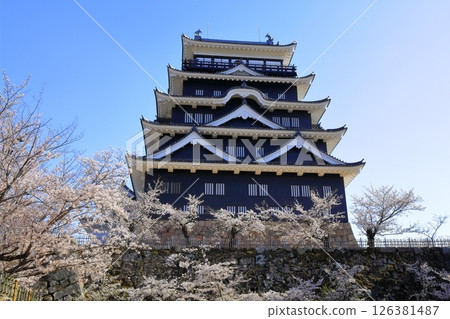 [廣島縣] 春天的櫻花盛開的福山城（重建後）福山城櫻花節 126381487