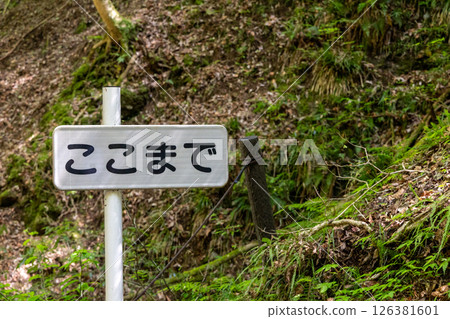 Broken no trespassing sign Broken no trespassing sign 126381601