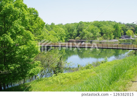 View of Tsudoi Bridge in Bihoku Hills Park View of Tsudoi Bridge in Bihoku Hills Park 126382015