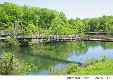 View of Tsudoi Bridge in Bihoku Hills Park 126382016
