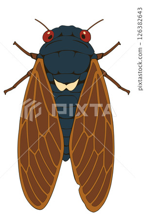 Cicada“AI 產生的圖像” 126382643