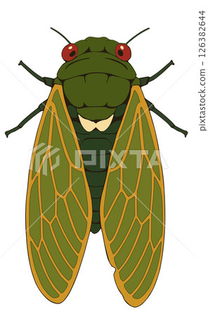 Cicada“AI 產生的圖像” 126382644