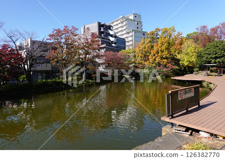 葫蘆池、平和之森公園 126382770