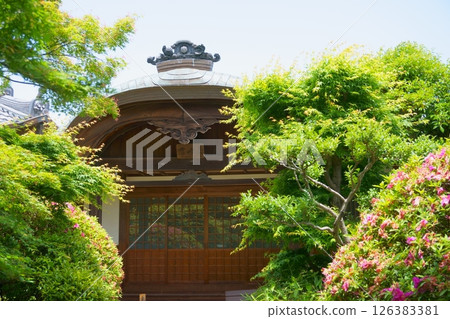 荒子觀音本山宮峰三尾張四觀音 荒子觀音本山宮峰三尾張四觀音 126383381