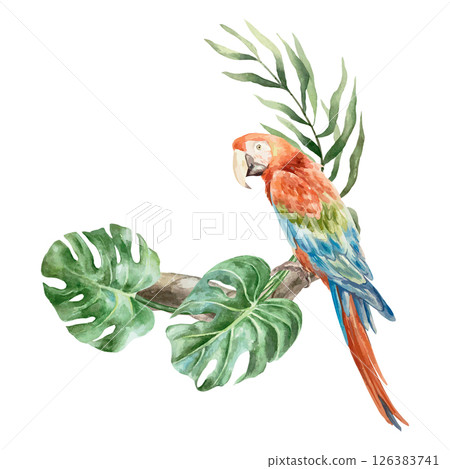 Macaw parrot sitting on tropical branch with monstera leaves, watercolor. Hand drawn vector illustration. For postcards, invitations, summer big banners, posters, labels. 126383741
