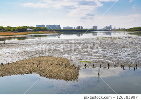 Yatsu潮灘（千葉縣習誌野市） 126383997