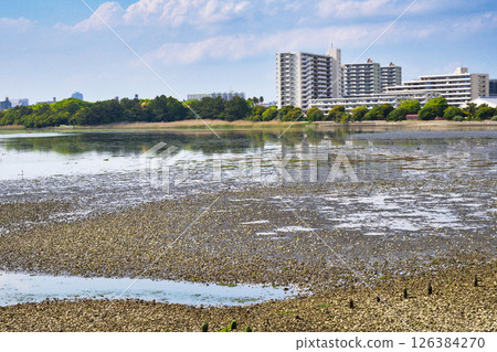 Yatsu tidal flat (Narashino City, Chiba Prefecture) Yatsu tidal flat (Narashino City, Chiba Prefecture) 126384270
