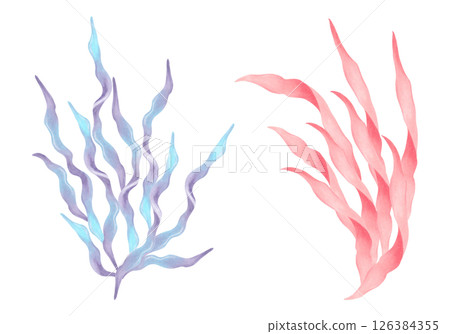 Blue, peach seaweed branch. Watercolor, marker illustration. Natural form of marine flora. Hand drawn isolated elements. Clip art of ocean botanical underwater plants for marine style design, cards Blue, peach seaweed branch. Watercolor, marker illustration. Natural form of marine flora. Hand drawn isolated elements. Clip art of ocean botanical underwater plants for marine style design, cards 126384355