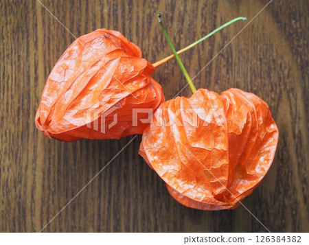 Obon - Physalis fruit 126384382