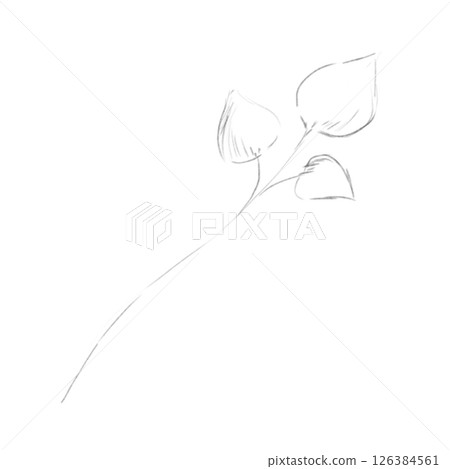 Sketch Branch with Leaves Hand Drawn, Black and White Illustration Sketch Branch with Leaves Hand Drawn, Black and White Illustration 126384561