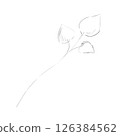 Sketch Branch with Leaves Hand Drawn, Black and White Illustration 126384562