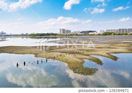 Yatsu tidal flat (Narashino City, Chiba Prefecture) 126384671
