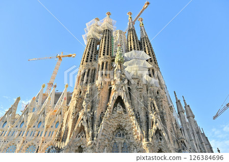 Sagrada Familia Cathedral 126384696