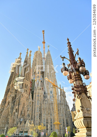 Sagrada Familia Cathedral Sagrada Familia Cathedral 126384699