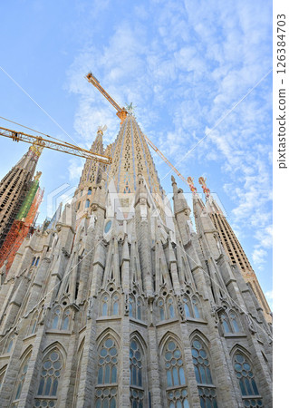 Sagrada Familia Cathedral Sagrada Familia Cathedral 126384703