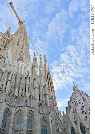 Sagrada Familia Cathedral 126384704