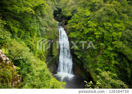 夏威夷假期阿卡卡瀑布州立公園，大島 126384730