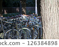 Bicycle placed in the park 126384898