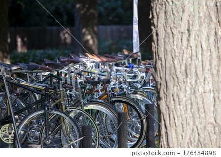 Bicycle placed in the park Bicycle placed in the park 126384898