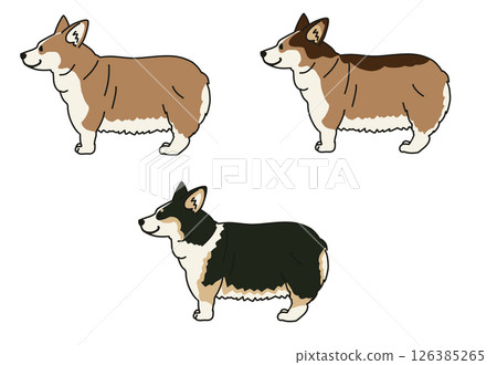 Multi-color illustration of a cute corgi seen from the side 126385265