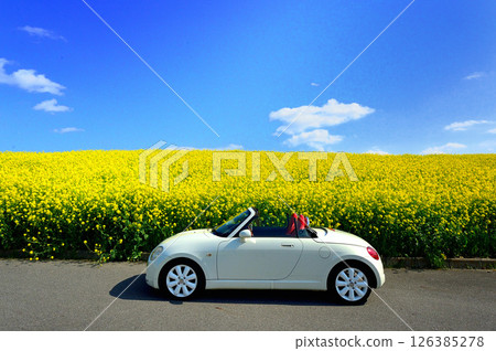 駕車穿過油菜花田的圖片 126385278