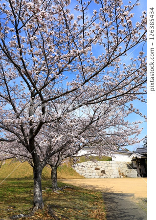 National Historic Site: Ako Castle Ruins National Historic Site: Ako Castle Ruins 126385434