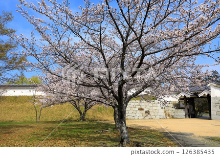 National Historic Site: Ako Castle Ruins National Historic Site: Ako Castle Ruins 126385435