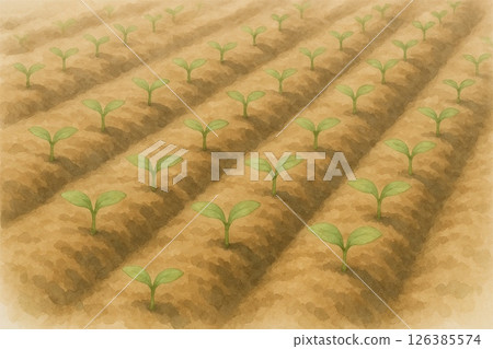 Ginseng sprouts and cultivated soil texture 126385574