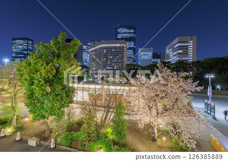 春天的大阪城天守閣夜景(大阪府大阪市中央區) 春天的大阪城天守閣夜景(大阪府大阪市中央區) 126385889