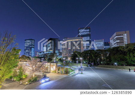 春天的大阪城天守閣夜景（大阪府大阪市中央區） 126385890