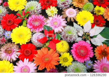 漂浮在水面上的花朵 漂浮在水面上的花朵 126386290