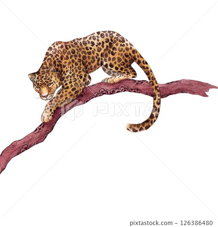 Leopard on Tree Branch Watercolor, Handmade clip art illustration 126386480