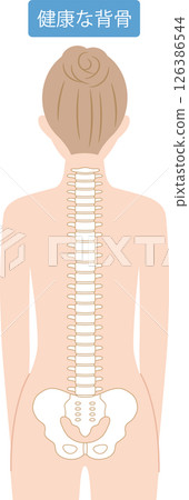 Woman's back view: healthy spine Woman's back view: healthy spine 126386544