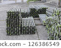 Construction site scaffolding materials 126386549