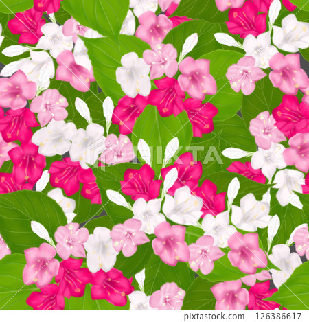 充滿活力的蜀葵無縫圖案 126386617