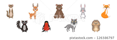 Funny Forest Animal and Woodland Fauna with Cute Snout Vector Set Funny Forest Animal and Woodland Fauna with Cute Snout Vector Set 126386797