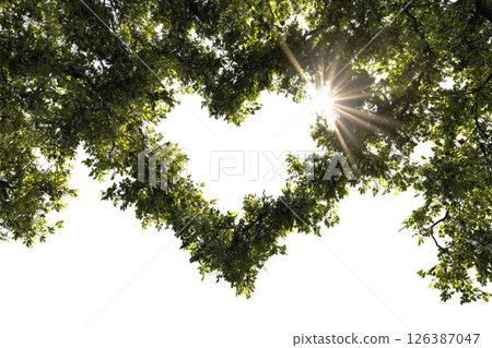 Heart-shaped tree leaves with sun rays. AI-generated item 126387047