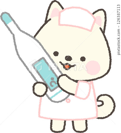 拿著溫度計的白色柴犬護士 126387113