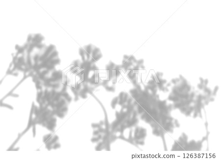 The shadow of the field grass on the white wall. A black and white image to overlay on a photo or mockup 126387156