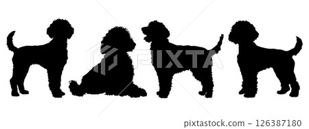 Poodle in different poses. Dog breed silhouette. 126387180