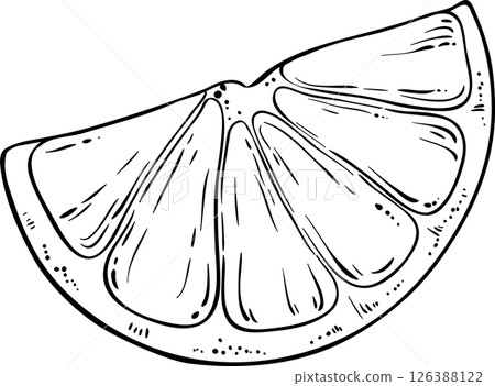 Orange Fruit  Outline Illustration 126388122