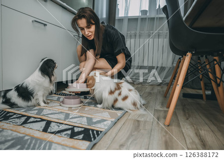 woman feeding two japanese chin dogs on patterned kitchen rug in cozy modern apartment with sheer curtains, pet care, animal wellness, domestic lifestyle woman feeding two japanese chin dogs on patterned kitchen rug in cozy modern apartment with sheer curtains, pet care, animal wellness, domestic lifestyle 126388172
