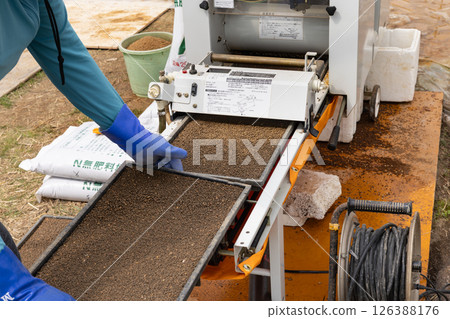 Seeding with a planter at a rice seedling house 126388176