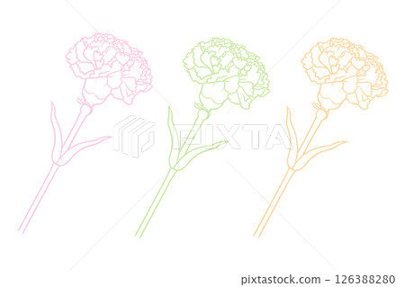 Carnation  126388280