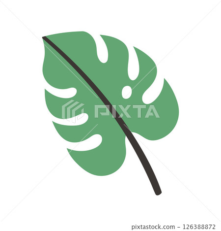 Vector illustration of a single monstera leaf in green with a bold dark stem. The design is simple, flat, and stylized, perfect for summer tropical themed graphics. Vector illustration of a single monstera leaf in green with a bold dark stem. The design is simple, flat, and stylized, perfect for summer tropical themed graphics. 126388872